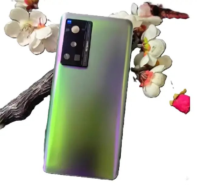 for.vivo x70pro back panel Blue